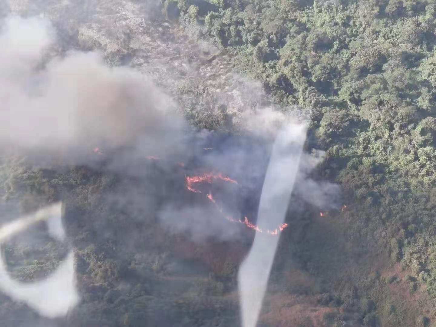 20191219987322.jpg 1.jpg