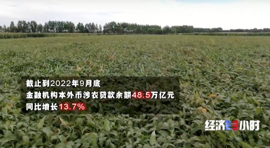 图片45.jpg