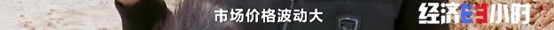 图片54.jpg