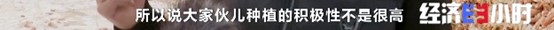 图片56.jpg