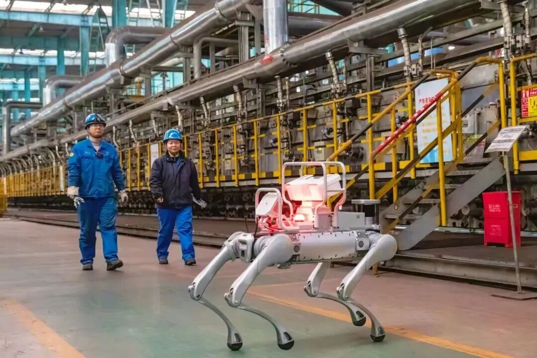 20260226557459.jpg 微信图片_2026-02-02_171145_791.jpg